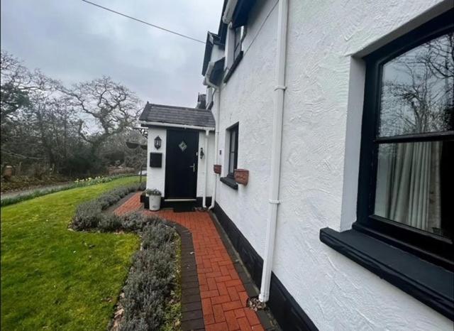 Cosy Cottage In Peaceful Location Swansea Exterior photo